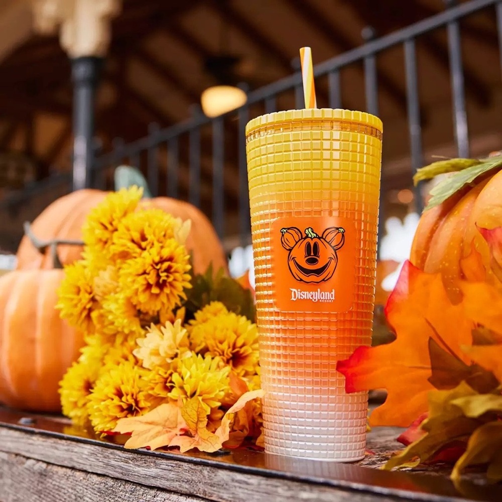 NWT Mickey Mouse Halloween Candy Corn Starbucks® Tumbler w/Straw Disneyland 2024